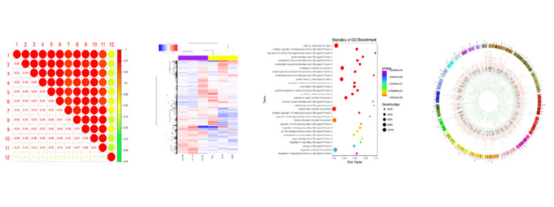 illumina_850k_methylation_array_testing_result.jpg